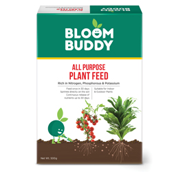 All Purpose Plant Feed 500G